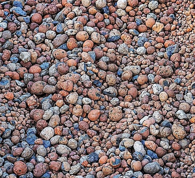 توسيع معلومات الصخر الزيتي - كيفية استخدام تعديل التربة الصخرية الموسعة