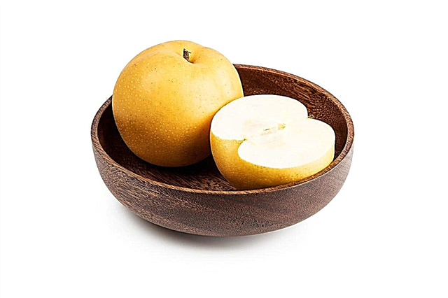 Hosui Asian Pear Info - Prendre soin des poires asiatiques Hosui