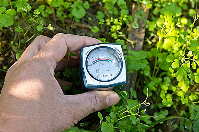 كيف تكون التربة رطبة في حديقتي: طرق قياس رطوبة التربة في الحدائق
