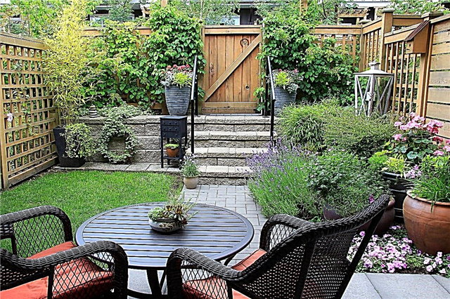 庭の部屋を作る方法–庭を囲むためのヒント