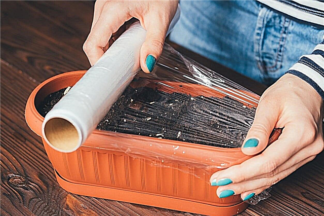 Идеи за градинска пластмасова опаковка - Научете как да използвате прилепващ филм в градината