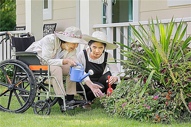 Hospice Garden Ideas - تعرف على الحدائق ورعاية هوسبيس