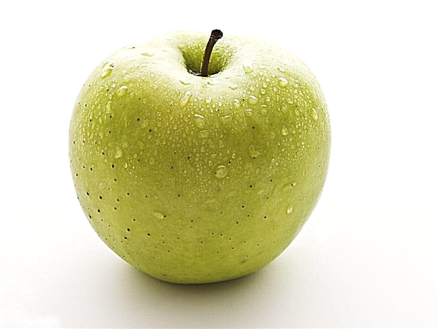 رعاية التفاح موتسو: زراعة شجرة التفاح هش