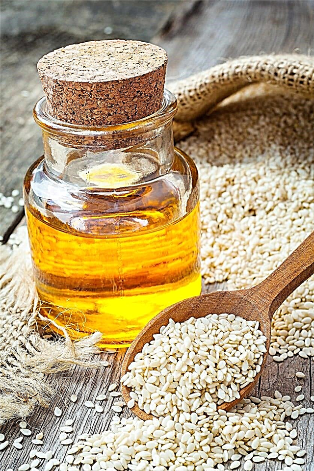 DIY Sesame Oil - Cómo extraer el aceite de sésamo de las semillas