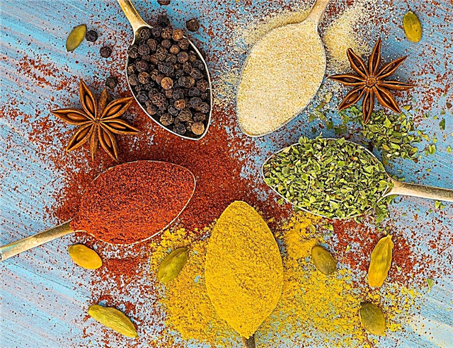 Indiske urter og krydderier - tip til opdræt af en indisk urtehave