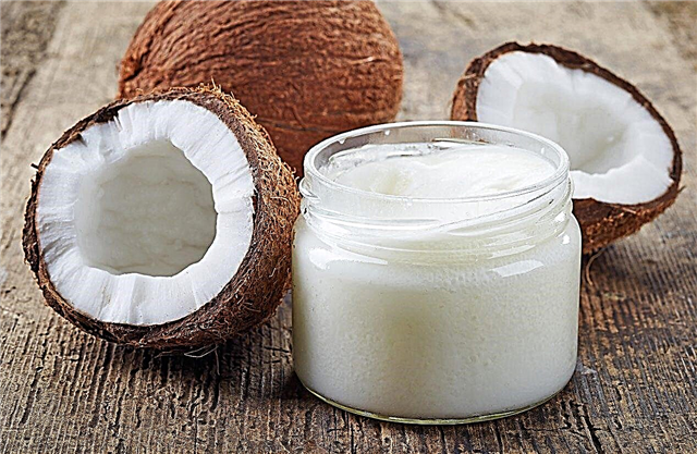 Feiten over kokosolie: kokosolie gebruiken voor planten en meer