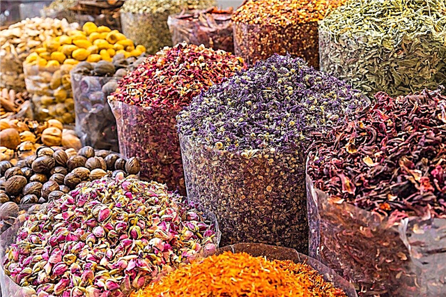 Marokkói gyógynövények: Észak-afrikai gyógynövénykert termesztése