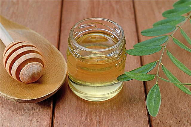 Hva er Acacia honning: Lær om Acacia honning bruk og fordeler