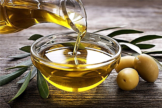 Informationen zu Olivenöl: Erfahren Sie, wie Sie Olivenöl verwenden