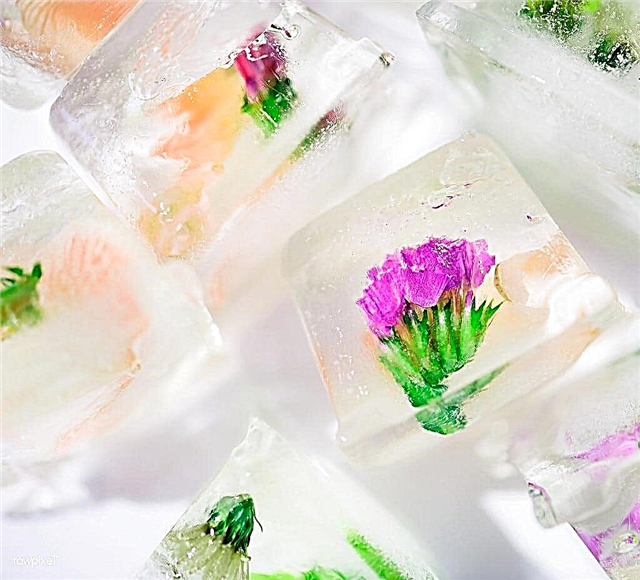 Flores de cubo de hielo de bricolaje - Hacer cubitos de hielo de pétalos de flores