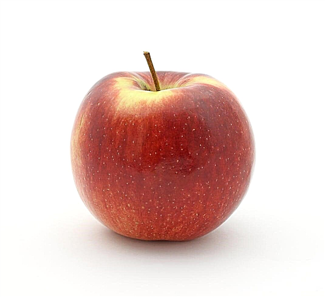 จักรวรรดิแอปเปิ้ลคืออะไร: วิธีการเติบโตแอปเปิ้ลเอ็มไพร์