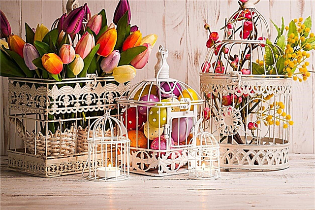 Idées de fleurs de Pâques: faire pousser des fleurs pour la décoration de Pâques