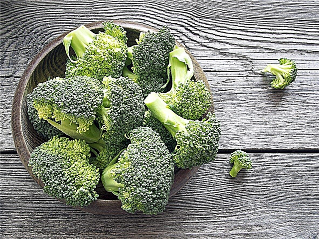 Zinkreiches Gemüse: Erfahren Sie mehr über pflanzliche Zinkquellen