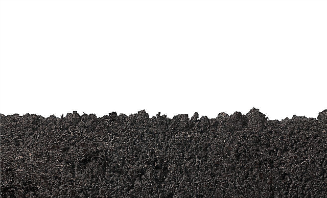 Informações sobre a porosidade do solo - Aprenda o que torna o solo poroso