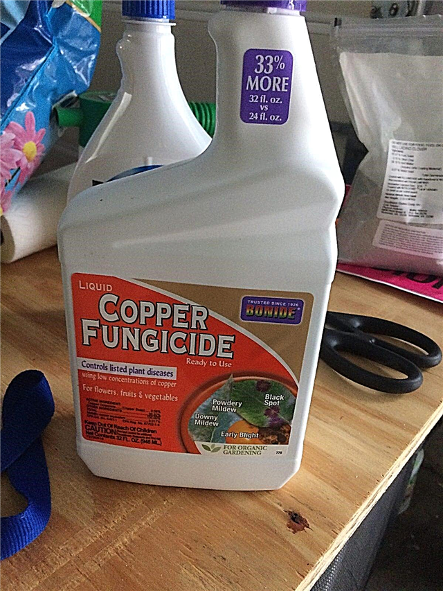 ¿Qué es el fungicida de cobre? Cómo utilizar el fungicida de cobre en jardines