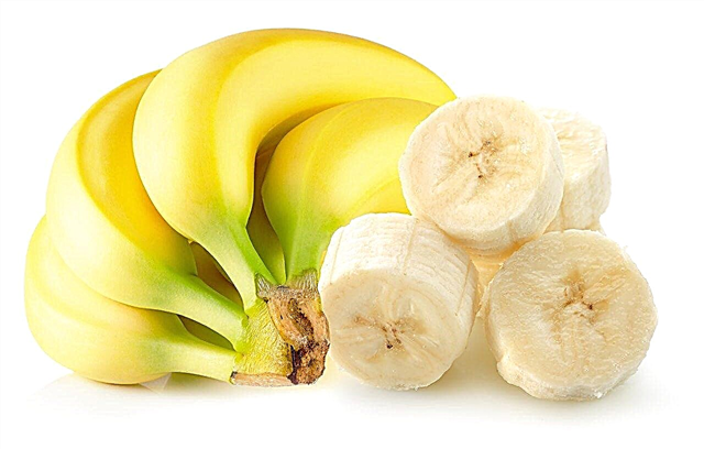 Banana crescente Fed Staghorns: Como usar bananas para alimentar uma samambaia Staghorn