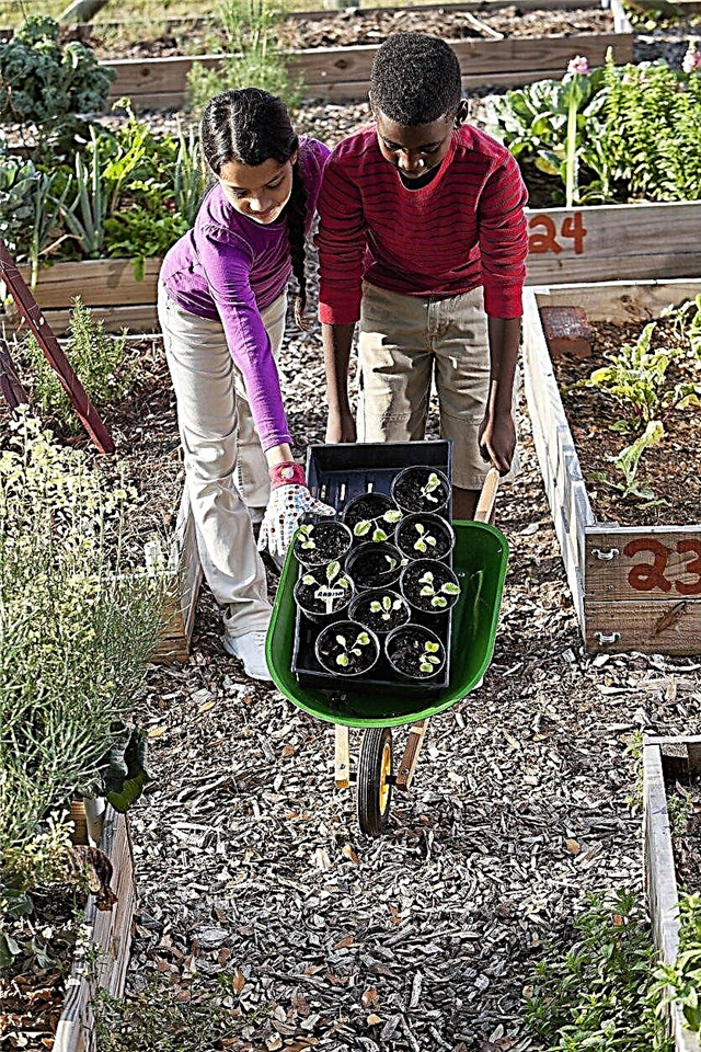 Gardens For Kids: What Is A Learning Garden