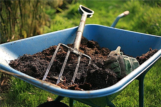 ما هو مكيف التربة: استخدام مكيف التربة في الحديقة