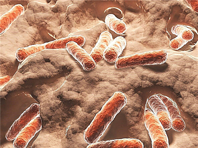 Kas ir mikrobi: mikrobu priekšrocības augsnē