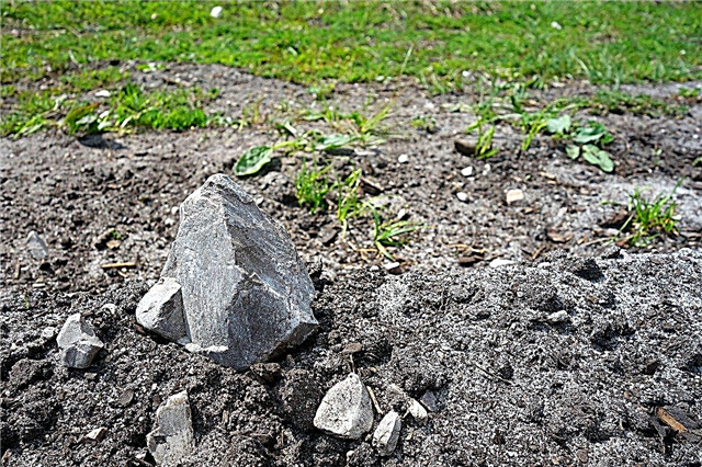 Ieži dārzā: kā strādāt ar akmeņainu augsni