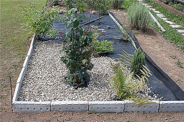 Τι είναι το ανόργανο κάλυμμα: Μάθετε σχετικά με τη χρήση του ανόργανου σάκου στους κήπους