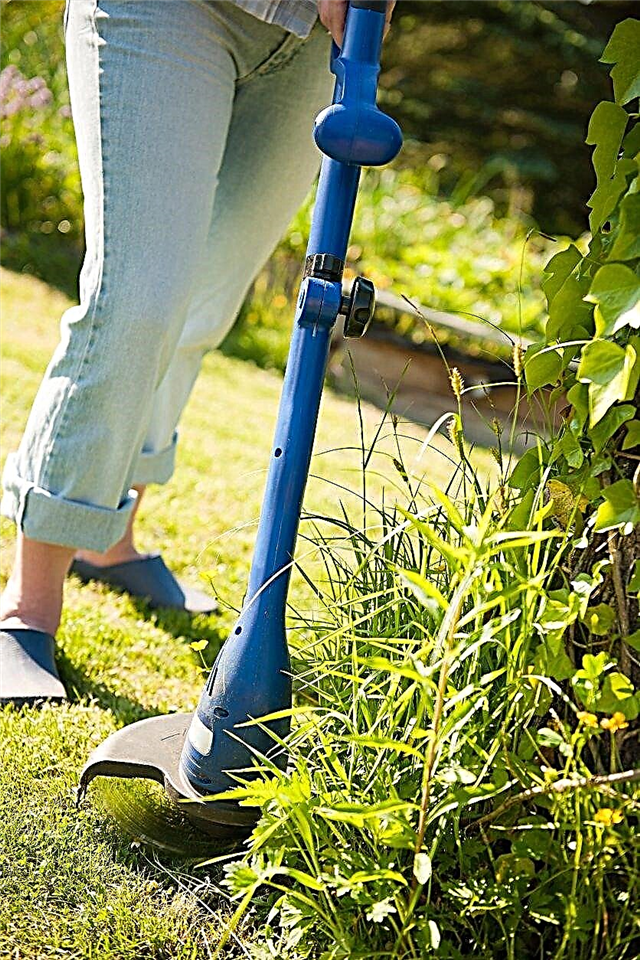Escolhendo um comedor de ervas daninhas: dicas sobre o uso de aparadores de corda na paisagem