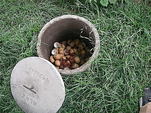 정원에서 퇴비 구덩이 : 음식 찌꺼기를 위해 정원에있는 구멍을 파낼 수 있습니까