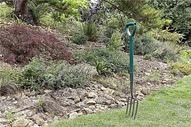 Савети за коришћење баштенске вилице - научите када треба да користите вртну виљушку