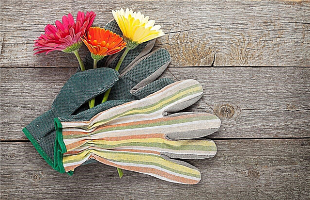 Choisir les gants de jardinage: sélectionner les meilleurs gants pour le jardinage