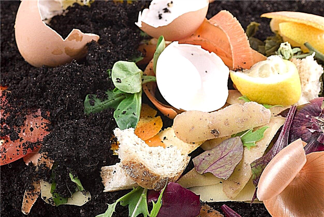 Compostage des déchets de fruits et légumes - Si vous coupez les déchets de compost