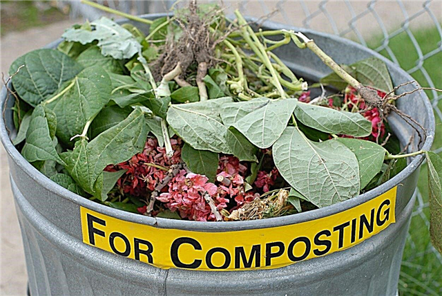 Lisateave komposti kiirete viiside kohta: näpunäited komposti kiiremaks muutmiseks