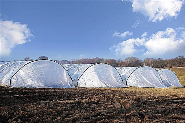O que é um túnel solar - Aprenda sobre jardinagem com túneis solares