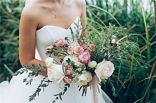 Cultivar su propio ramo de novia: aprenda a plantar flores de boda