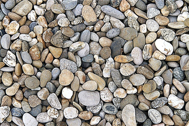 Was ist River Pebble Mulch? Erfahren Sie mehr über die Verwendung von River Rock Mulch in Gärten