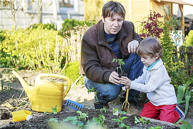 Pontas orgânicas do jardim para miúdos - ensinando miúdos sobre jardinagem orgânica
