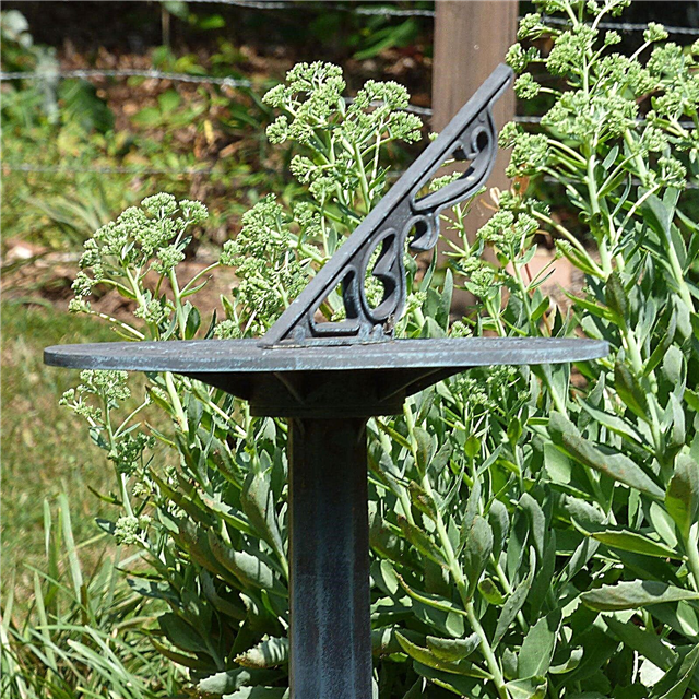 Slnečné hodiny sa používajú v záhradách: Tipy na používanie slnečných lúčov v záhradách