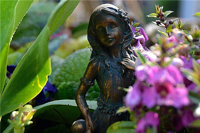 Planten voor Fairy Gardens: Welke bloemen om te planten om feeën aan te trekken