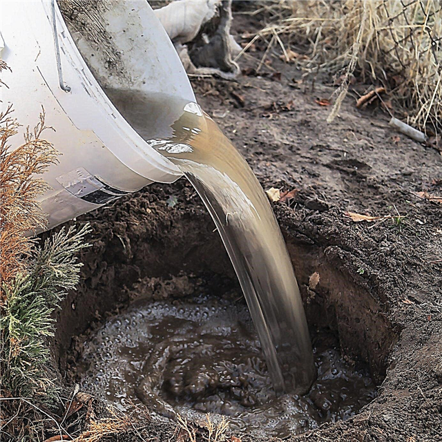 Vérification du drainage du sol: conseils pour s'assurer que le sol est bien drainé