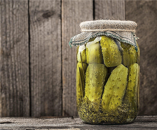 Er pickle juice god for planter: Bruke leftover pickle juice i hager