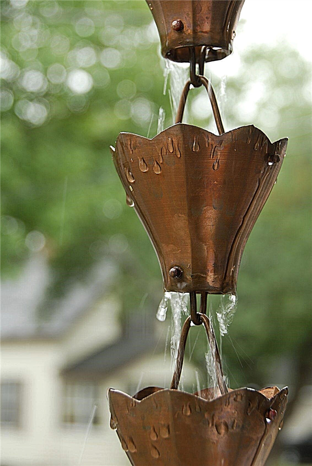 ما هي سلسلة المطر - كيف تعمل سلاسل المطر في الحدائق