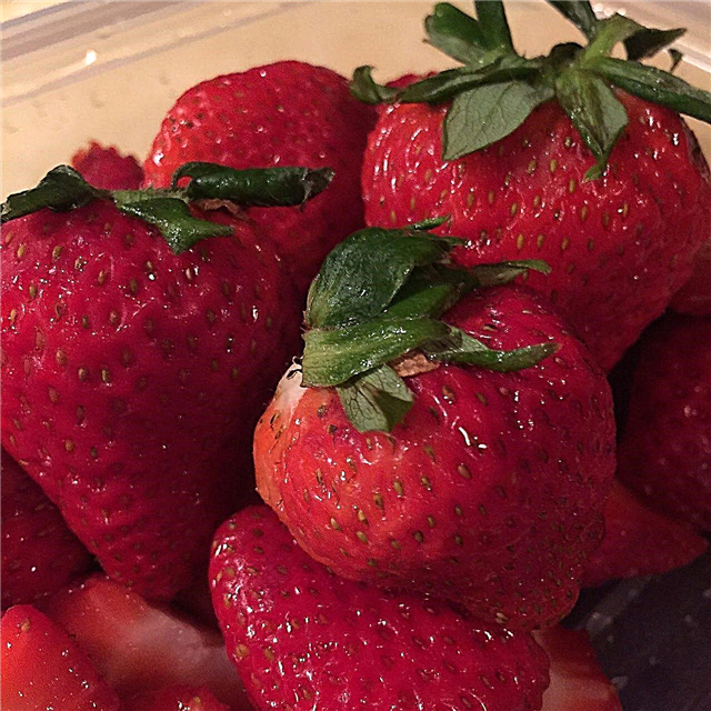 Types de fraises: découvrez les différents types de fraises