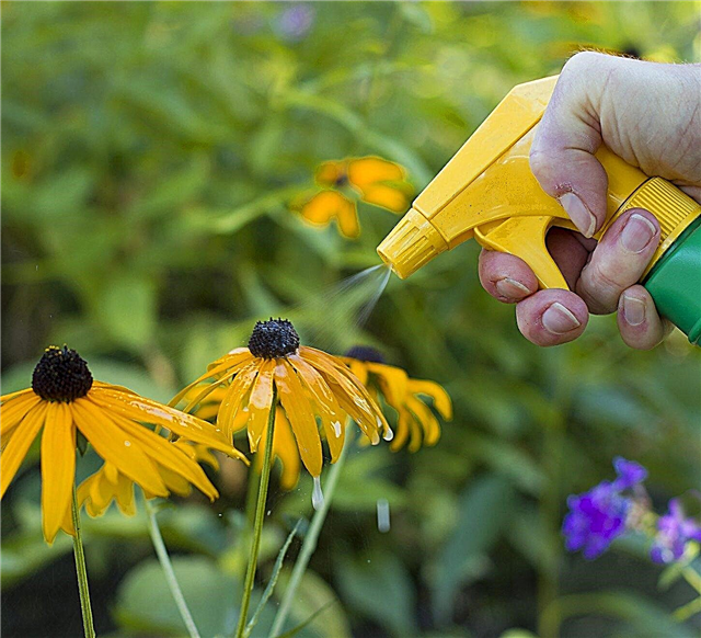 ¿Qué son los adyuvantes de herbicidas? Guía de adyuvantes de herbicidas para jardineros