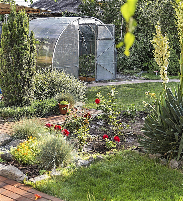 Jardinería en la zona 4: consejos para la jardinería en climas fríos