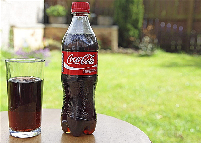Usos de Coca-Cola en jardines: uso de Coca-Cola para el control de plagas y más