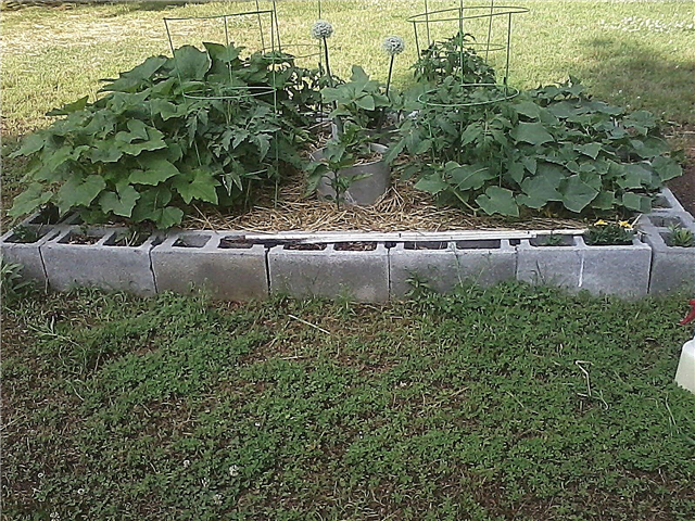 Ideje za vrtnarjenje v vrtinčnem bloku - Nasveti za uporabo blokov iz šarnirja za vrtne postelje