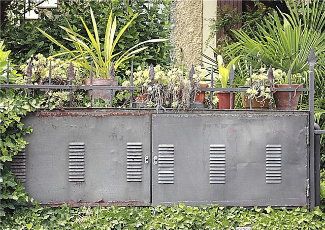 Landscaping Ideas To Utility Boxes verbergen: tips voor het verbergen van Utility Boxes met planten