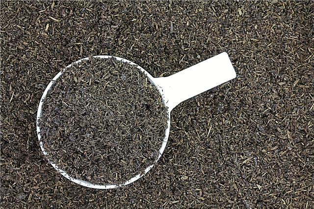 Przepis na herbatę odlewającą robak: Dowiedz się, jak zrobić herbatę odlewającą robak