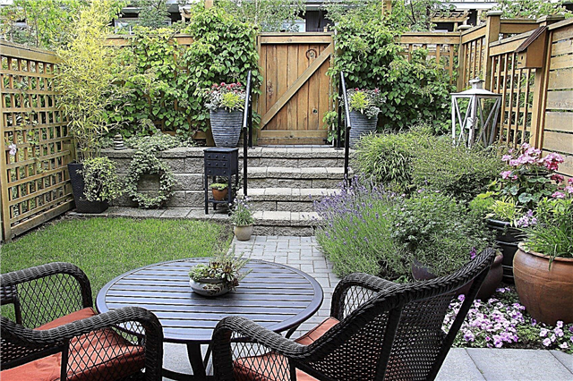 Gartenideen für kleine Räume: Tipps zum Erstellen von Gärten in kleinen Räumen