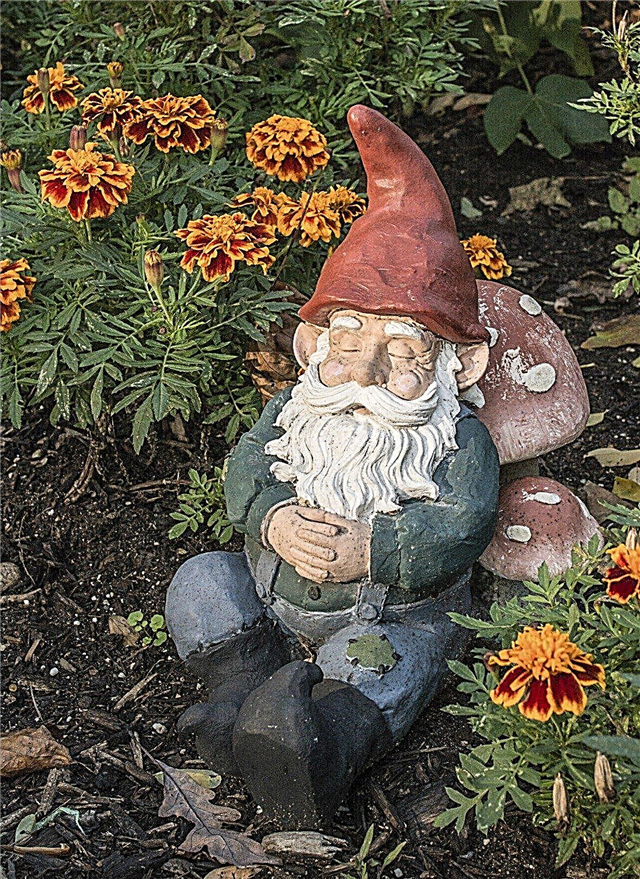 Τι είναι το Gnomes Garden: Χρήσεις για Gnomes Garden στο τοπίο