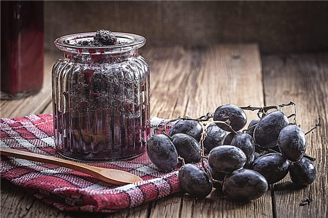 Augantis vynuogių želė ir uogienės: kokios yra geriausios vynuogių želių veislės